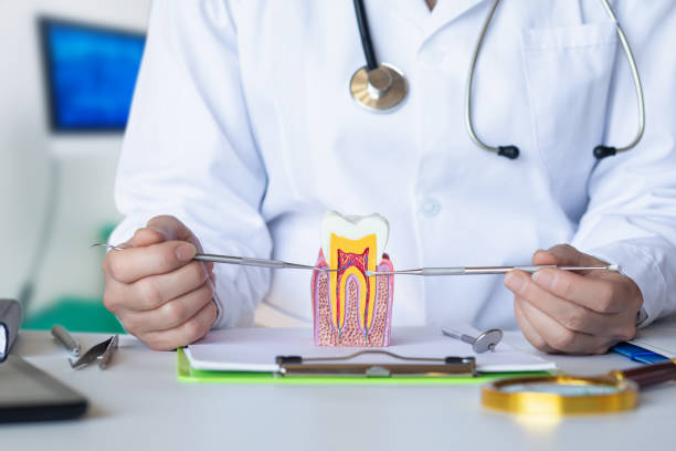 Best Emergency Dentist for Lost Fillings or Crowns in Fairview, GA